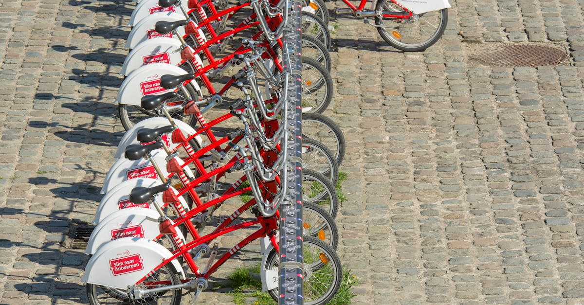 entdecken sie die zukunft der nachhaltigen mobilität: umweltfreundliche transportlösungen, innovative technologien und strategien für eine grünere stadt. fördern sie eine nachhaltige lebensweise und verbessern sie ihre mobilität.