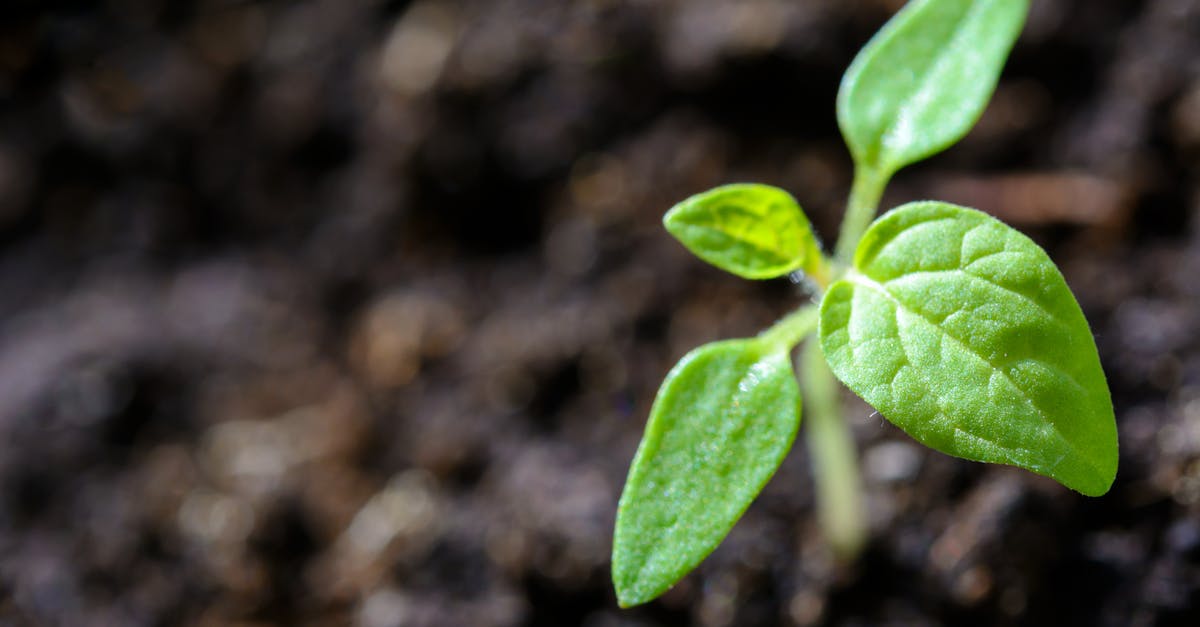 entdecken sie die faszinierende welt der natur – von atemberaubenden landschaften bis hin zu einzigartigen tierarten. erleben sie unvergessliche abenteuer im freien und erfahren sie mehr über den schutz unserer umwelt.