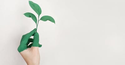 Nachhaltige Ideen: Eco-Friendly Projekte für die Familie
